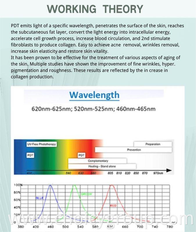 theory of Choicy LED Photon Light Therapy Beauty Machine